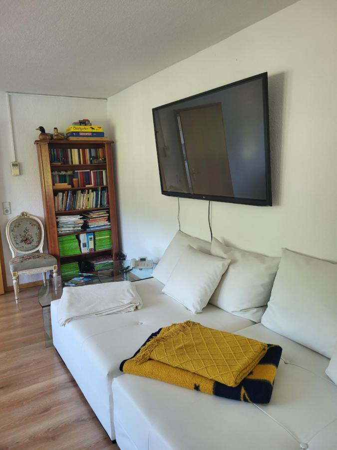 Elbblick Apartment Konigstein an der Elbe Ngoại thất bức ảnh